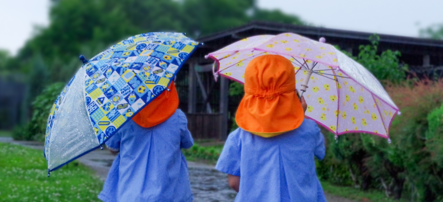 アンブレラマーカーとは?