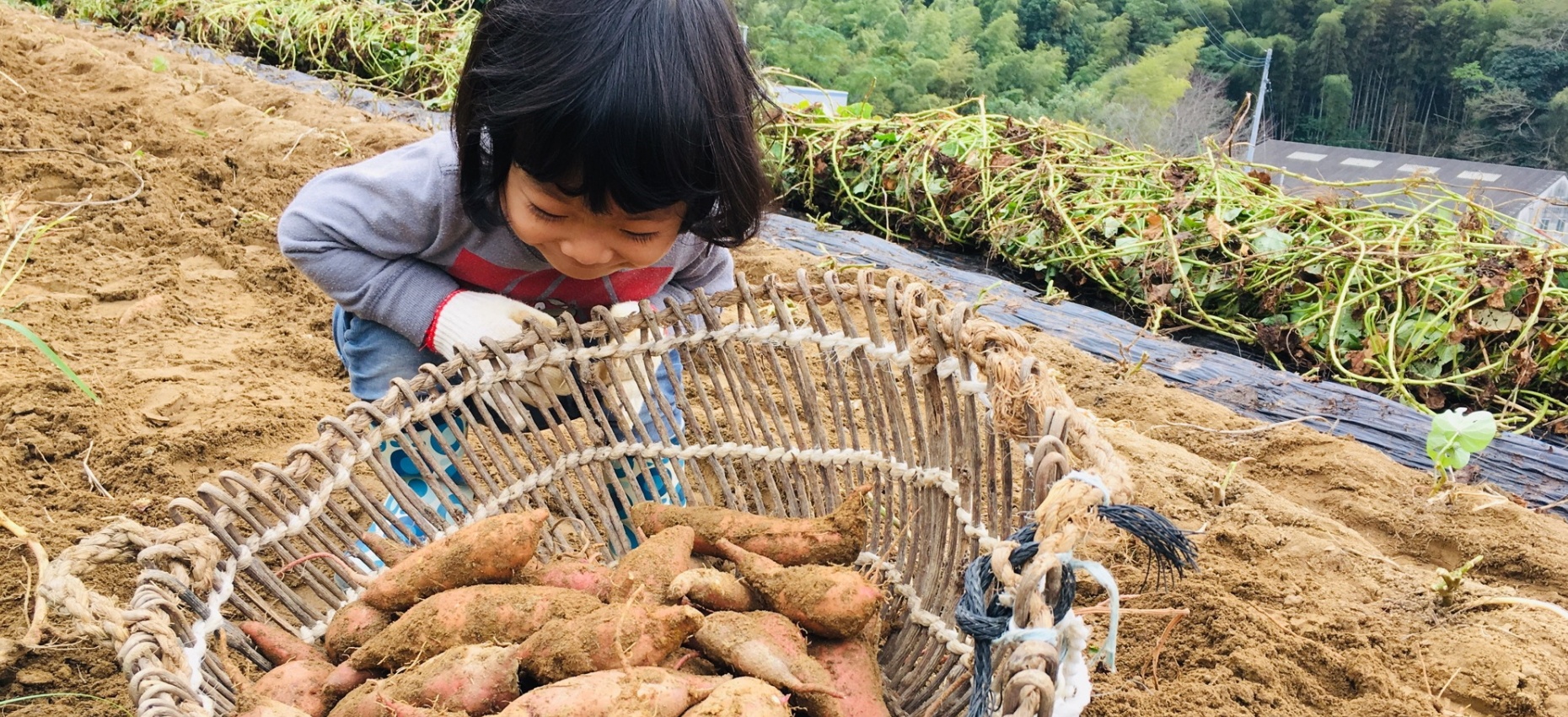 芋掘り遠足に必要な持ち物リスト