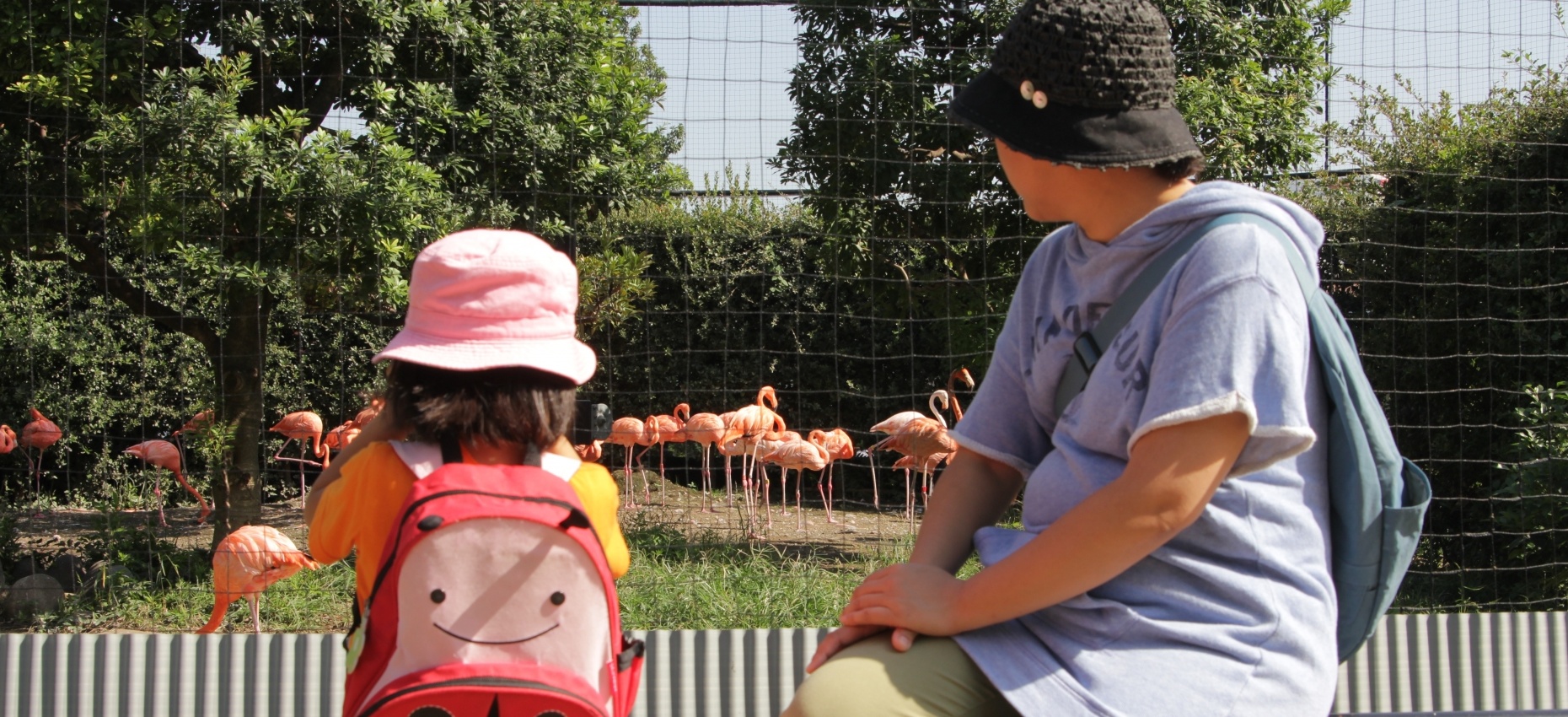 遠足持ち物でよくある3つの質問